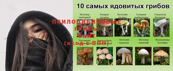 молекула духа Белокуриха